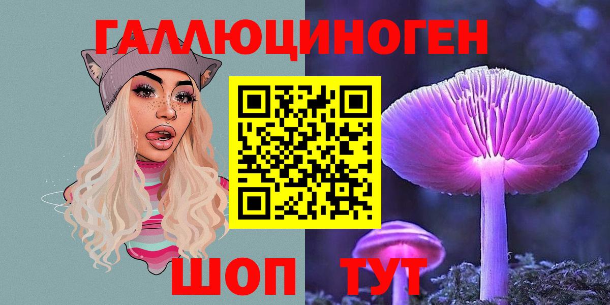 закладки  Вход с VPN  Александров  Псилоцибиновые грибы мицелий 