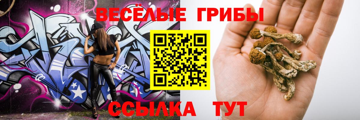  КОКАИН Александров