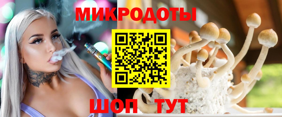 Псилоцибиновые грибы Psilocybe Александров